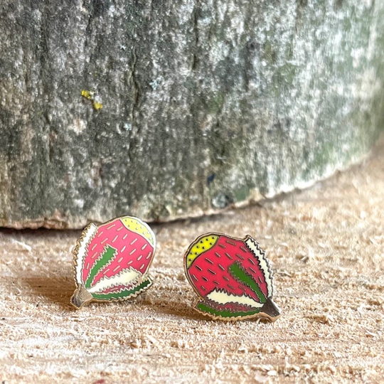 A pair of Banksia enamel stud earrings on a wooden surface with a stone background.