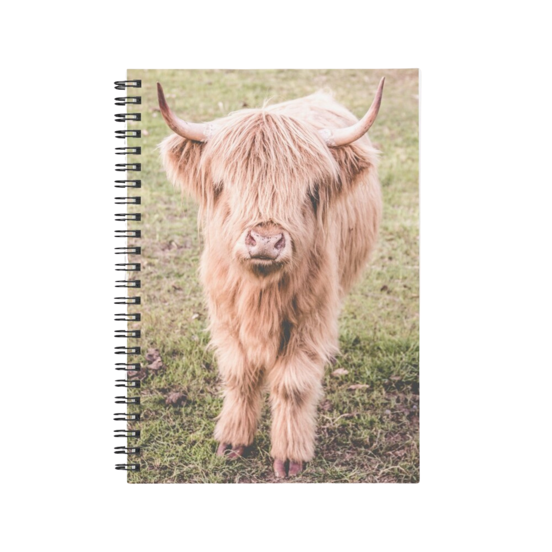 Billy the Highland Cow Notebook by Belinda Doyle. Features a high-quality photography cover of a Highland cow from the Southern Highlands, NSW.