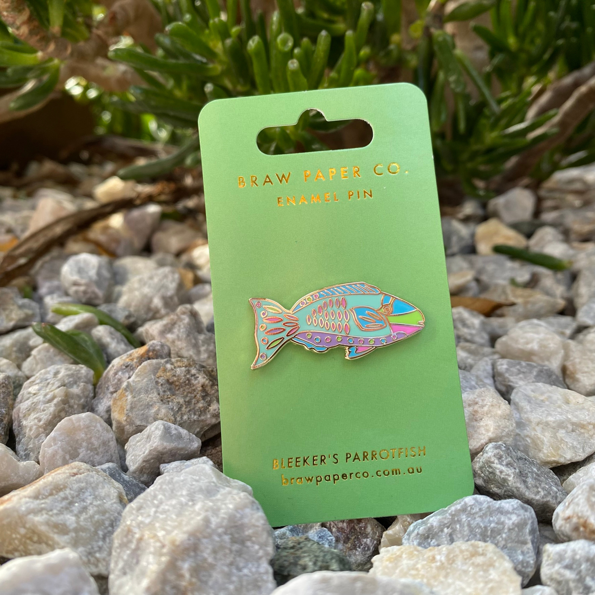 An enamel pin featuring colourful details of the Bleeker's Parrotfish.