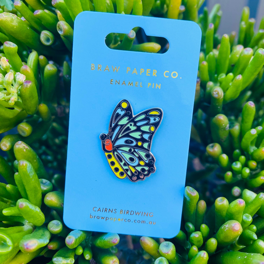 Cairns Birdwing Butterfly enamel pin on blue backing card.