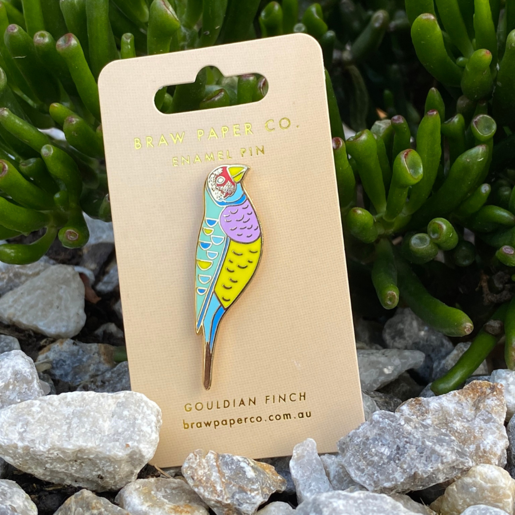 The Gouldian Finch Enamel Pin featuring intricate details with yellow, purple and blue colours.
