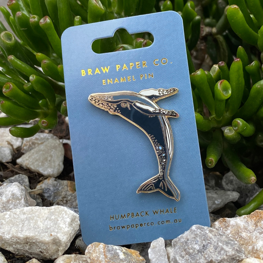 Our breaching Humpback Whale Enamel Pin boasts exquisite details and captivating shades of blue that shimmer beautifully in the sunlight.