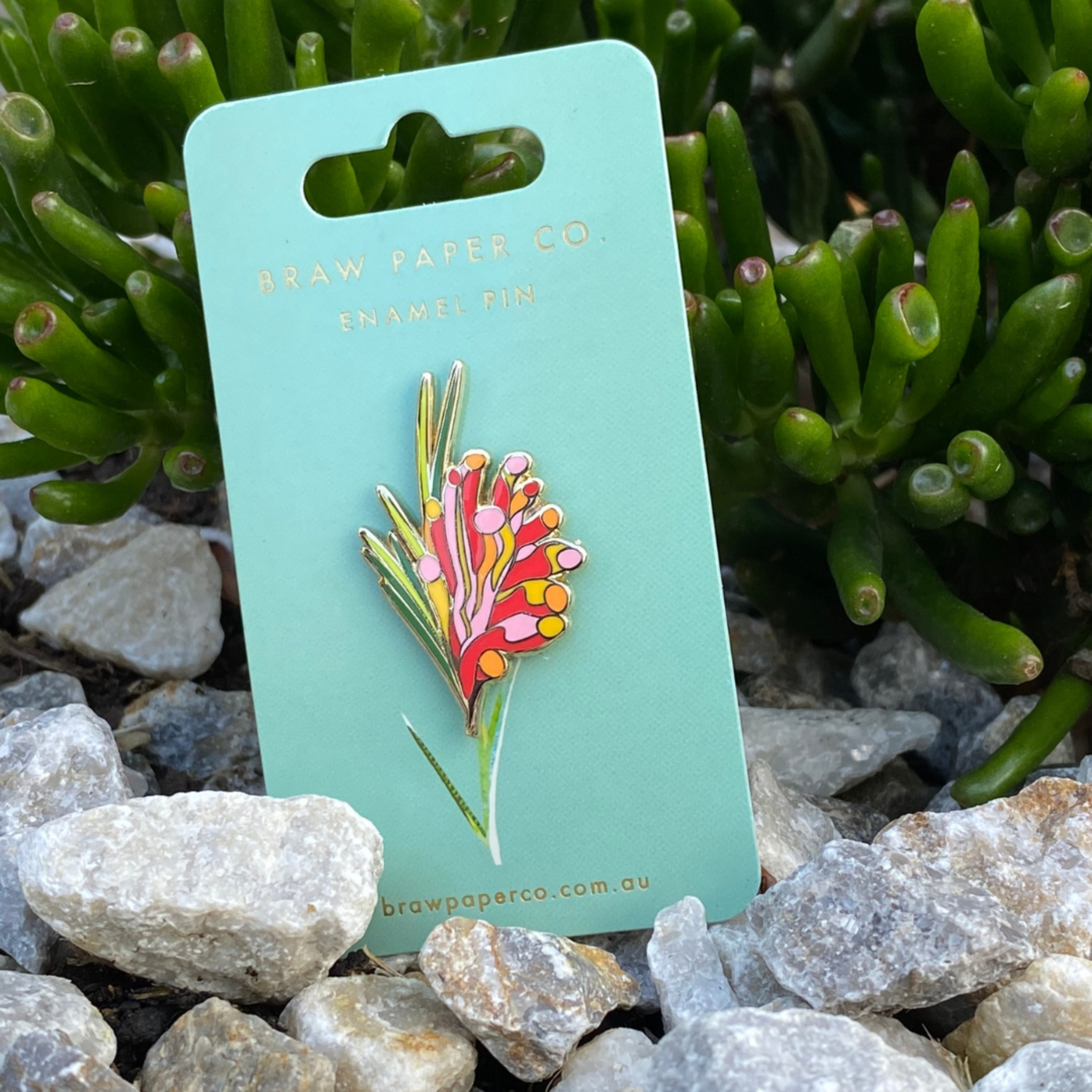 Kangaroo Paw Enamel Pin, featuring intricate details and vibrant colours inspired by the Australian outback.