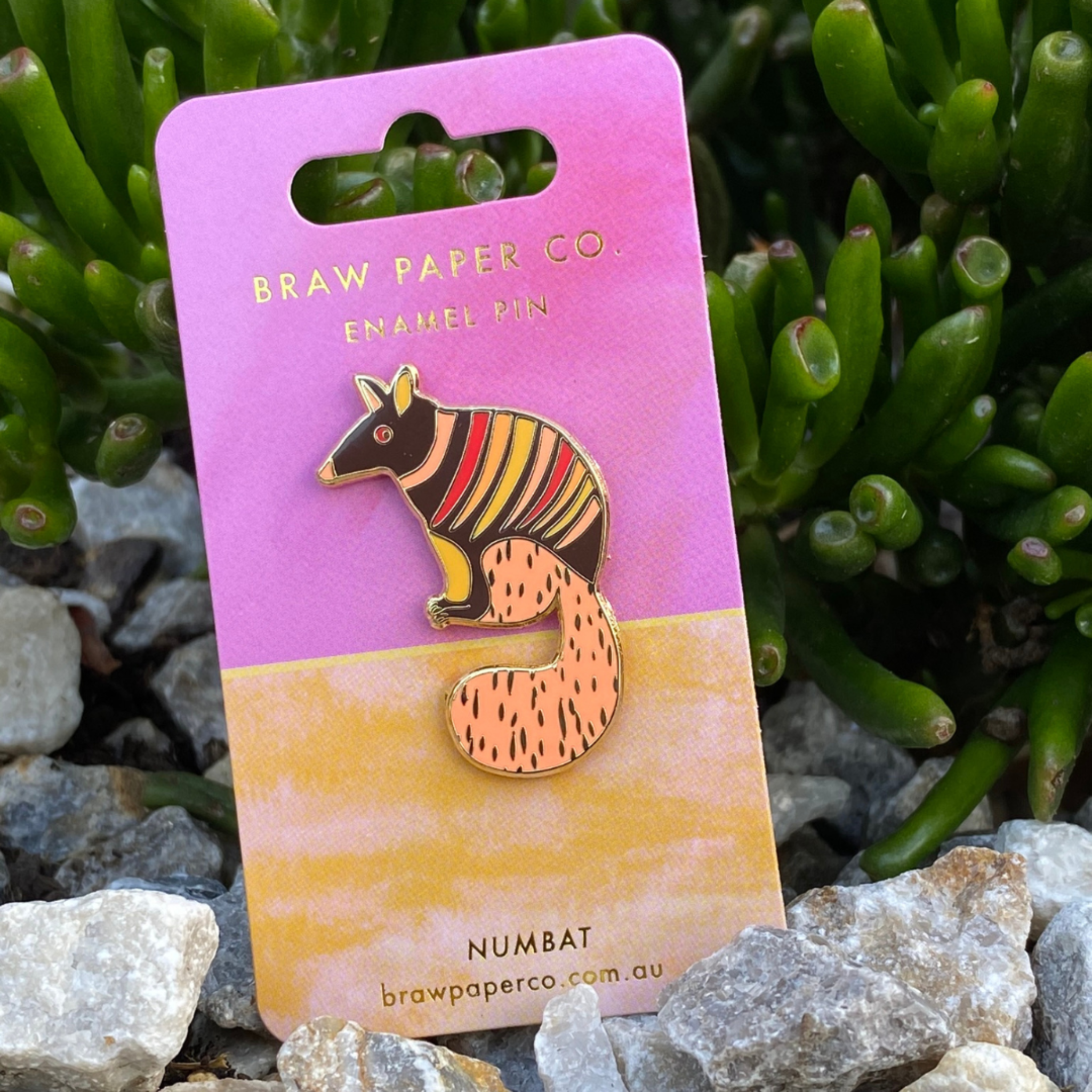 The exquisite Numbat Enamel Pin, featuring intricate detailing and vibrant colours inspired by this endangered marsupial.