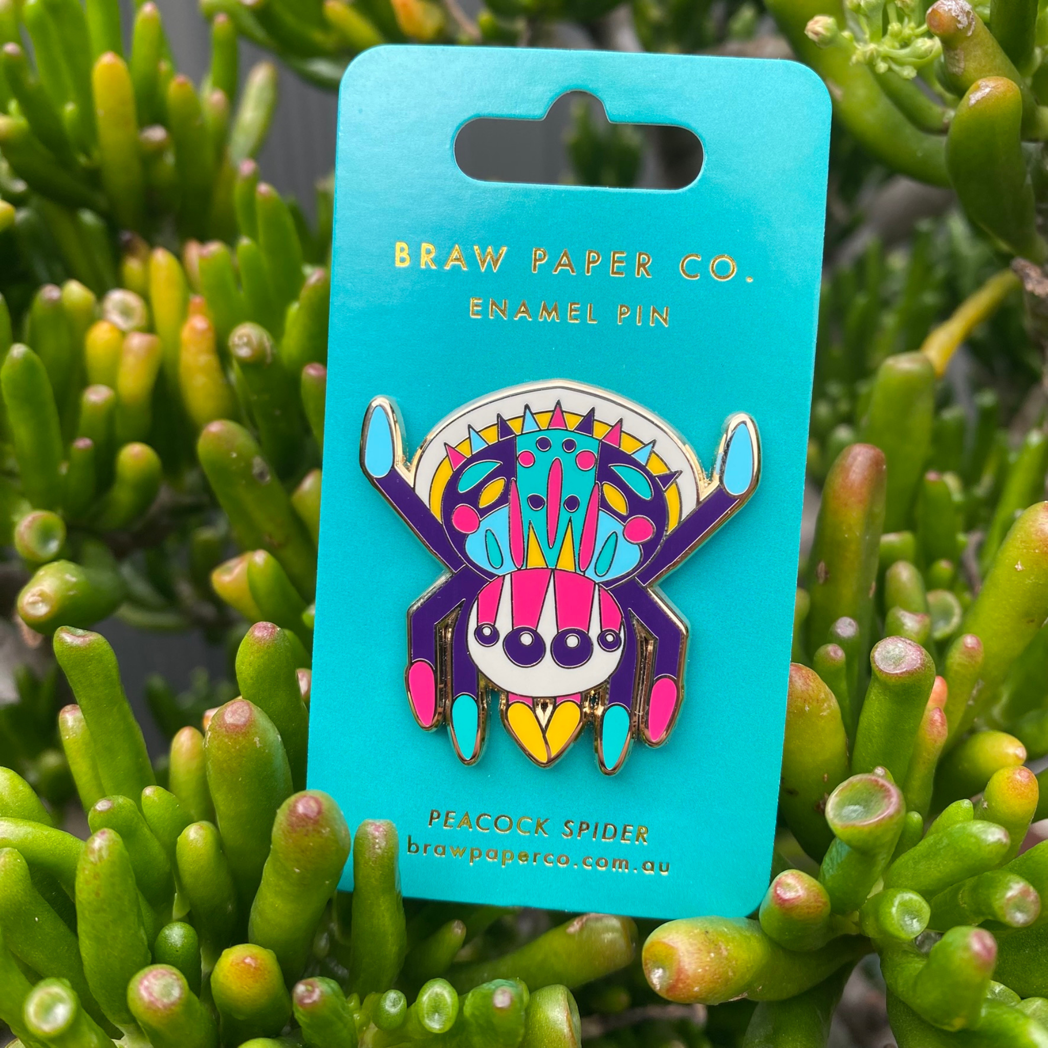 A picture of the Peacock Spider enamel pin on a backing card.