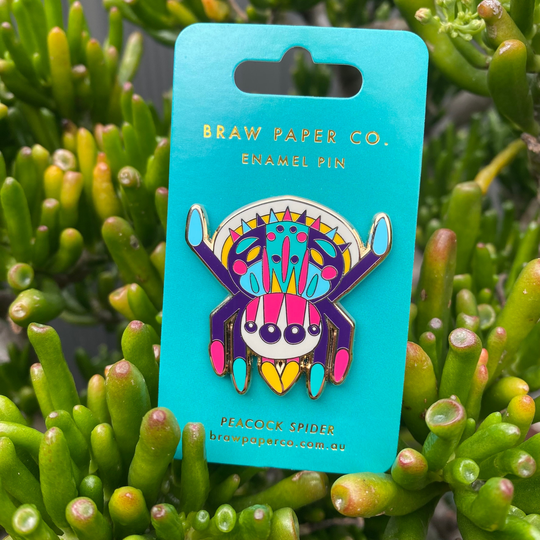 A picture of the Peacock Spider enamel pin on a backing card.