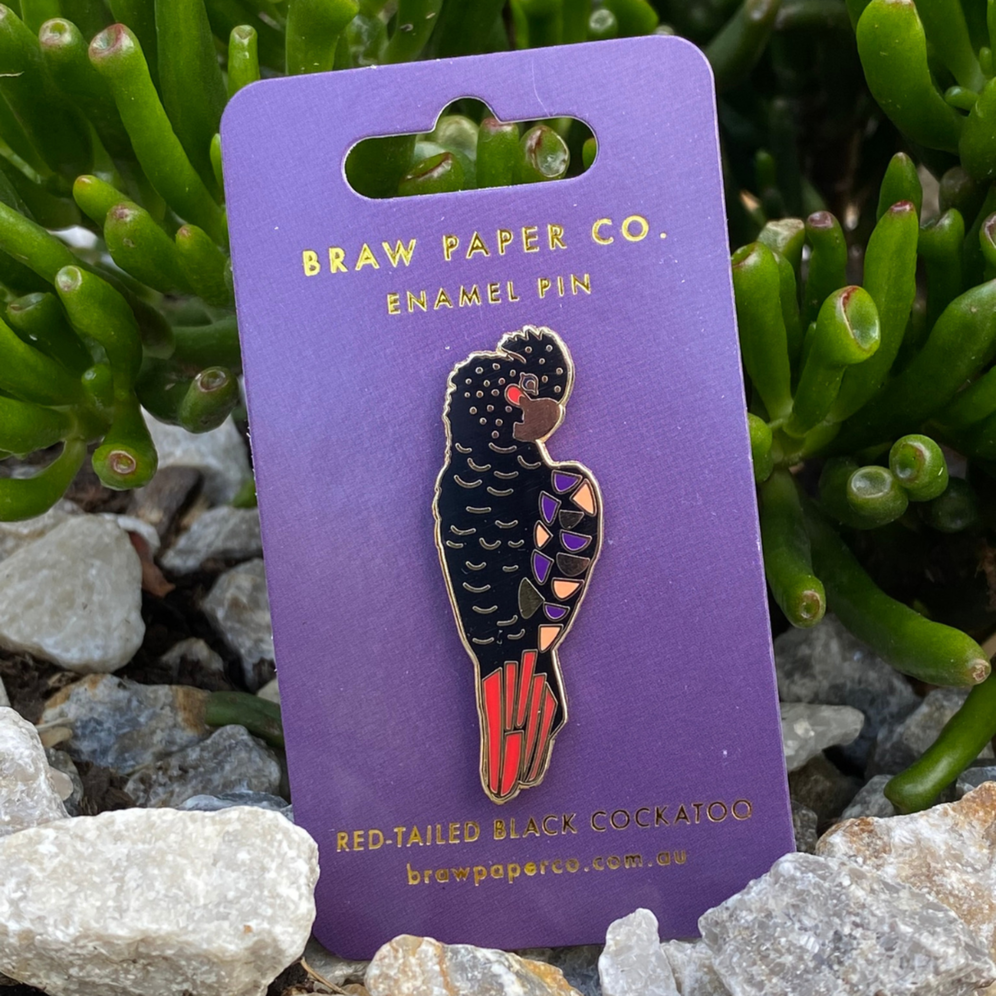 Red-tailed Black Cockatoo Enamel Pin with intricate details and a striking red tail.