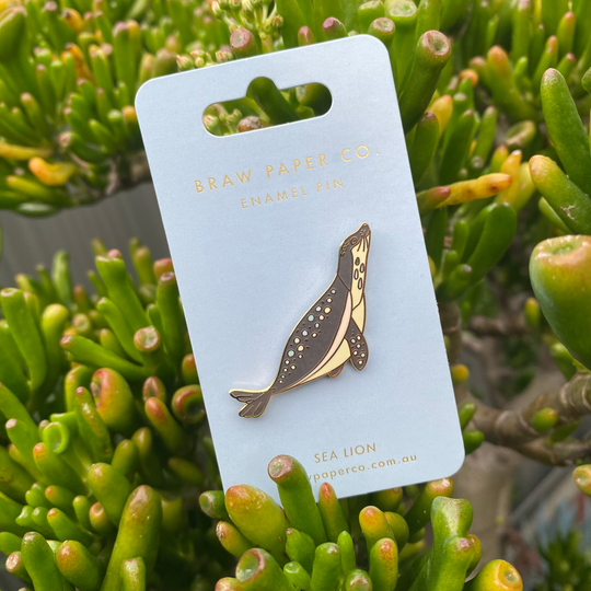 A picture of a sea lion enamel pin on a backing card.