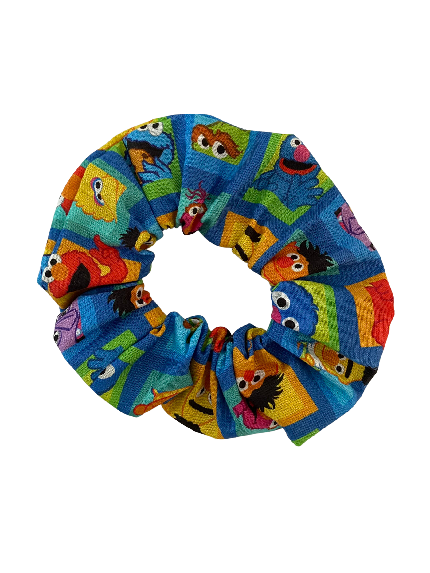 Sesame Street Scrunchie