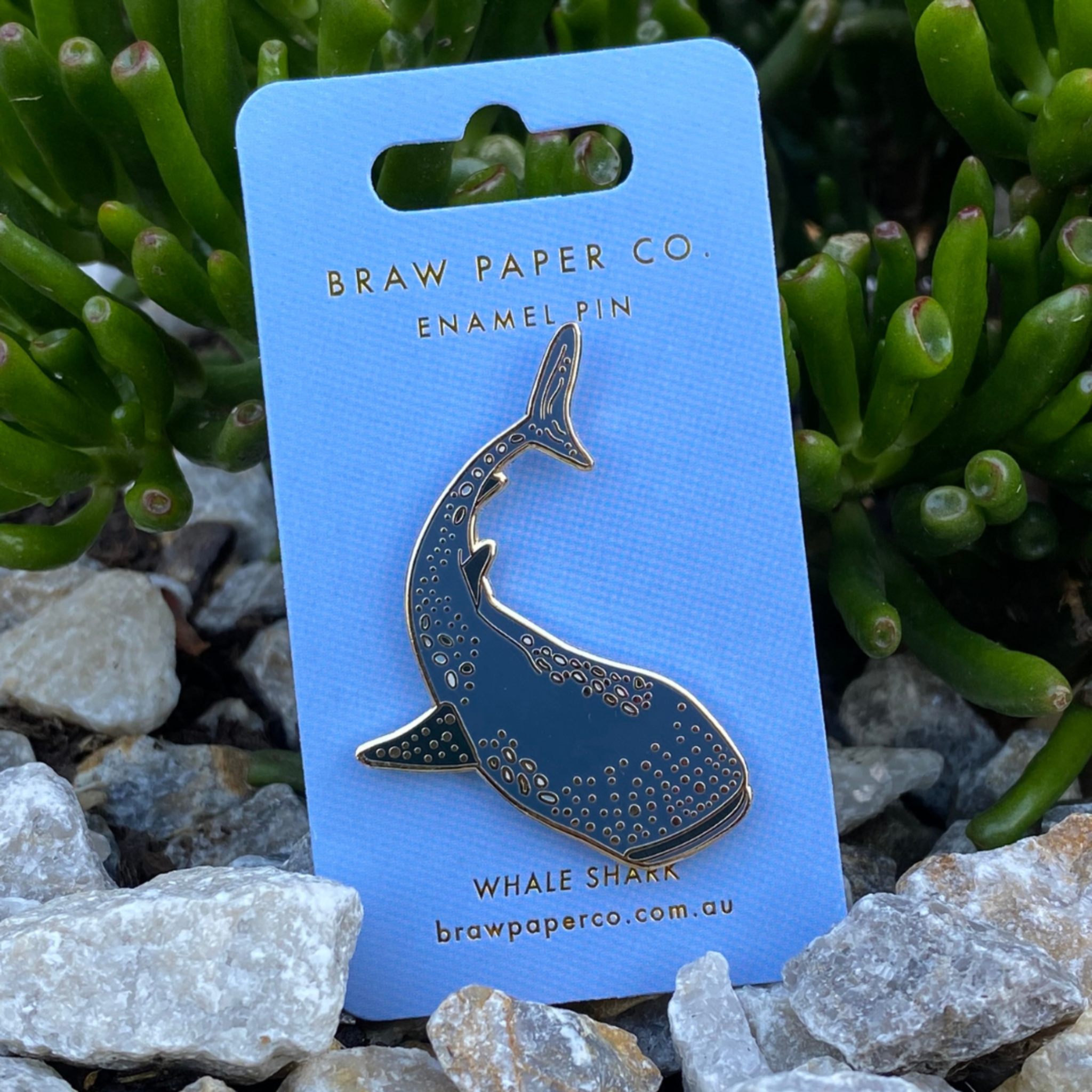 The Whale Shark Enamel Pin, featuring intricate detailing and vibrant colours inspired by this majestic marine creature. 
